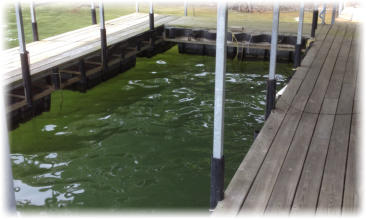 Bumpers and Rub Rails Installed To Protect Your Boat